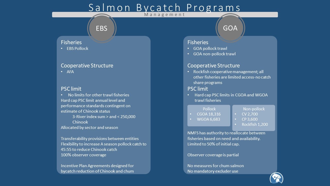 salmon-bycatch-mgmt-program